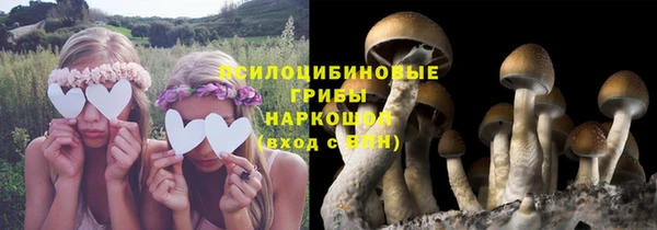 MDMA Premium VHQ Аркадак