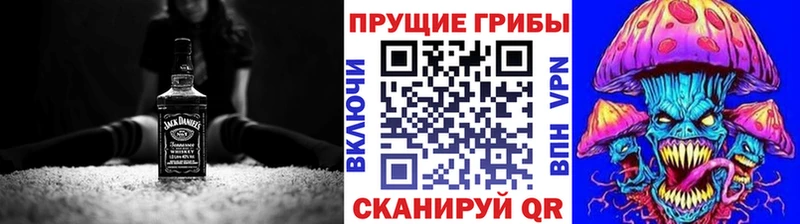 Псилоцибиновые грибы Psilocybe  Зерноград 